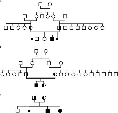 A novel TBX19 gene mutation in patients with isolated ACTH deficiency from distinct families with a common geographical origin
